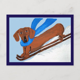 Cartão Postal Esqui de Dachshund