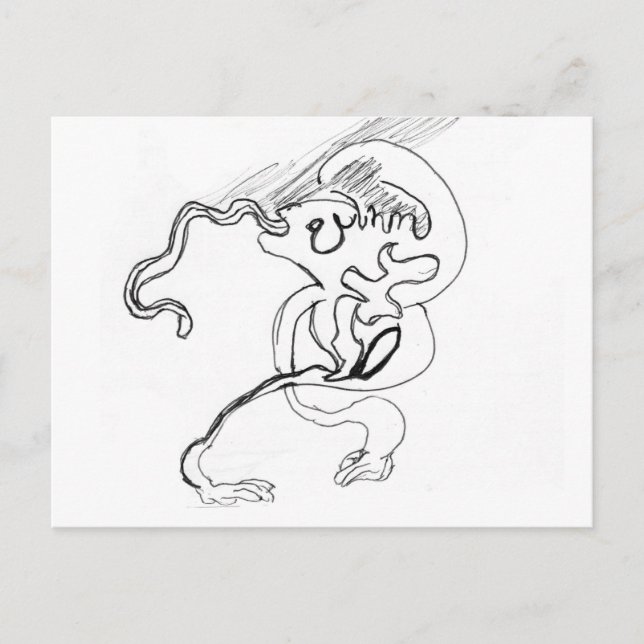 Cartão Postal Esquilo (Frente)