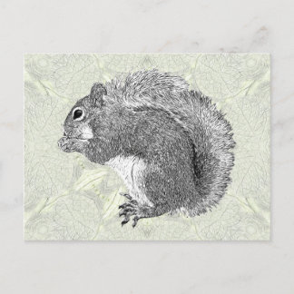 Cartão Postal Esquilo de Arte