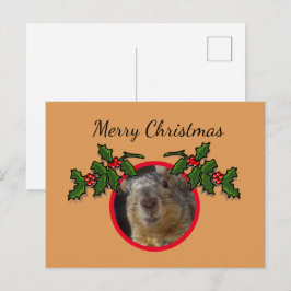 Cartão Postal - Esquilo de Boas Festas de Natal