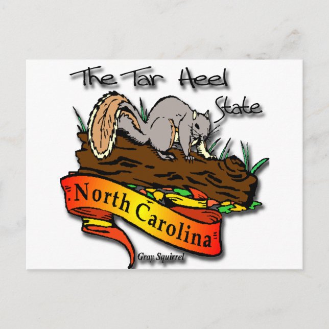 Cartão Postal Esquilo de Cinzas de Tar Heel na Carolina do Norte (Frente)