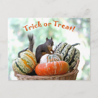 Cartão Postal Esquilo de Halloween