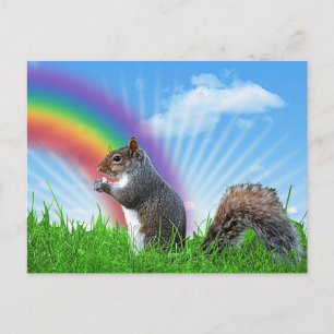 Cartão Postal Esquilo e Arco-íris Céu