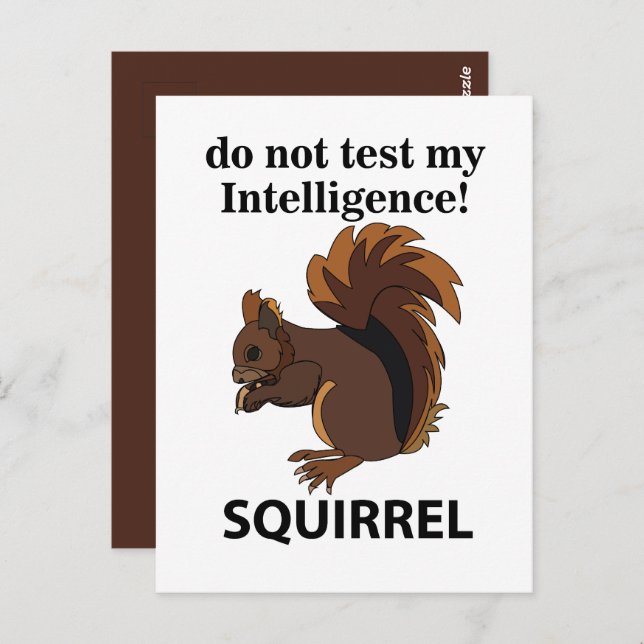 Cartão Postal Esquilo Não Teste Minha Inteligência Esquilo (Frente/Verso)