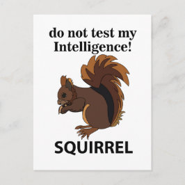 Cartão Postal Esquilo Não Teste Minha Inteligência Esquilo
