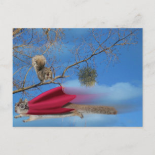 Cartão Postal esquilo voador