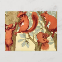 Esquilos vermelhos vintage natureza outono Verneui