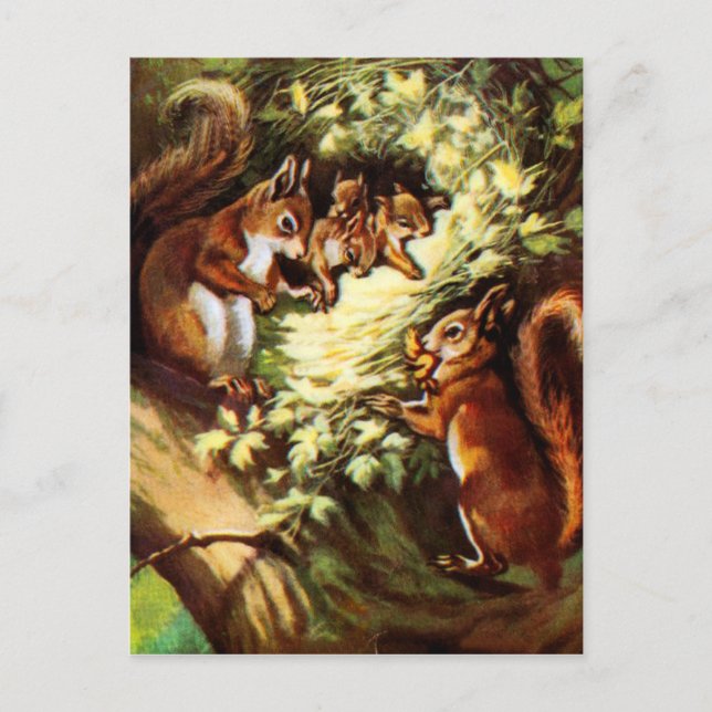 Cartão Postal Esquilos Vintage (Frente)