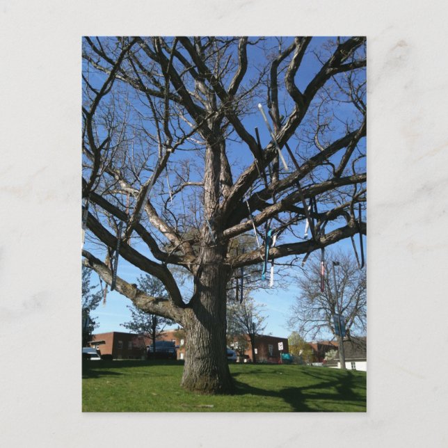 Cartão Postal Esquis em uma árvore (Frente)