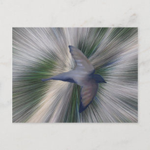 Cartão Postal Está Concluído