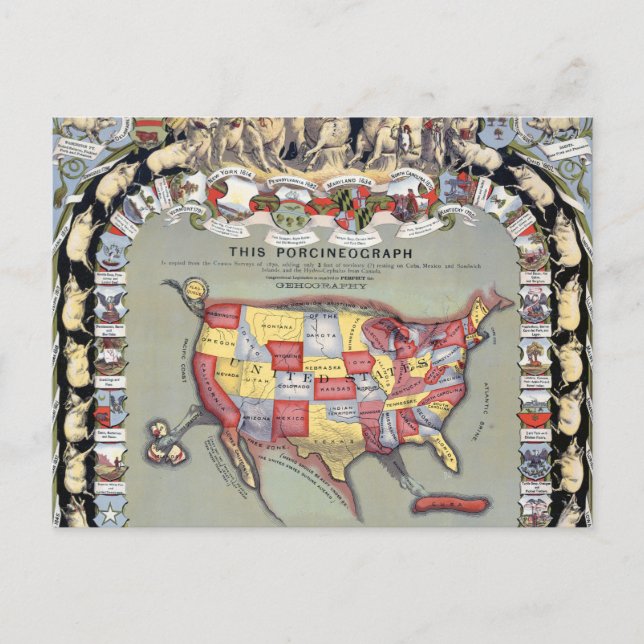 Cartão Postal ESTA PORCINEOGRAFIA, c1876 (Frente)