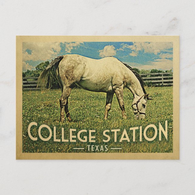 Cartão Postal Estação Universitária Texas Horse Fazenda - Viagen (Frente)