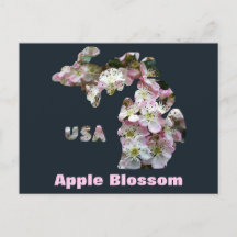 Estado de Michigan e Blossoms da Apple