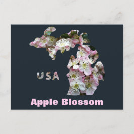 Cartão Postal Estado de Michigan e Blossoms da Apple