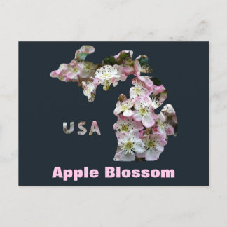 Cartão Postal Estado de Michigan e Blossoms da Apple