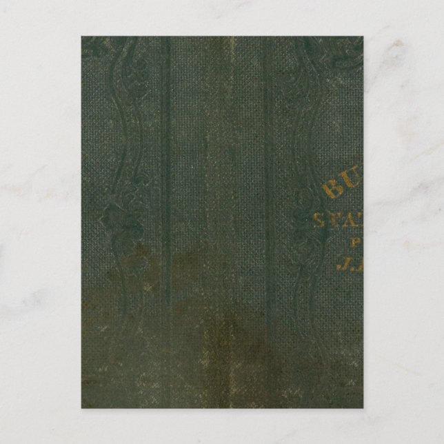 Cartão Postal Estado de Nova Iorque por DH Burr 2 (Frente)