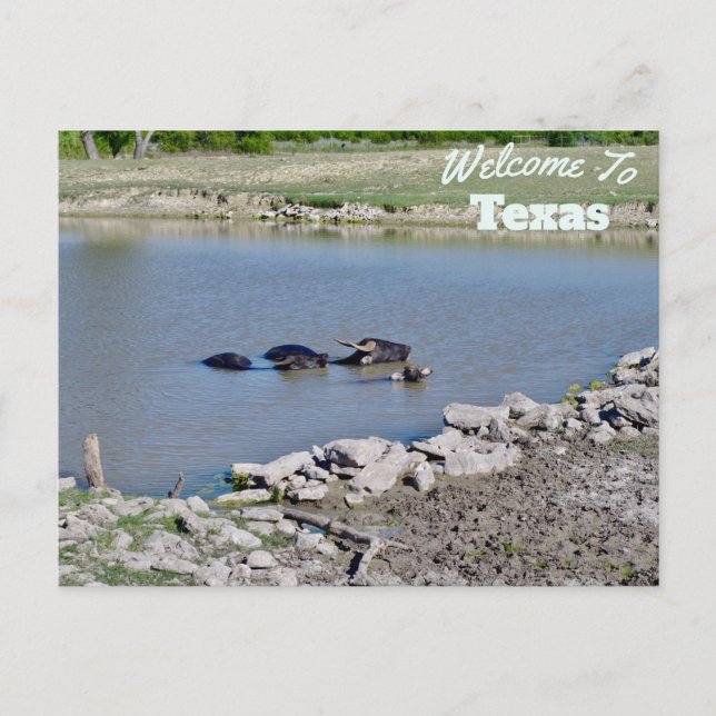 Cartão Postal Estado do Texas (Frente)