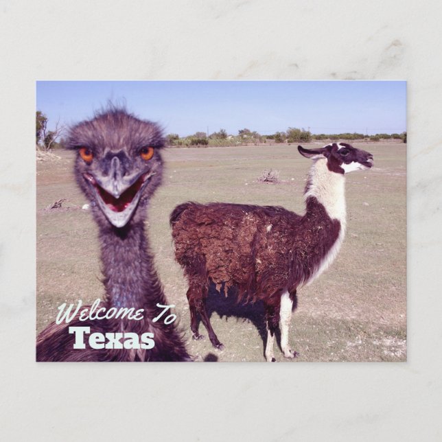 Cartão Postal Estado do Texas (Frente)