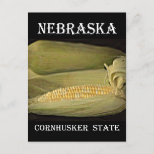 Cartão Postal Estado Nebraska Cornhusker