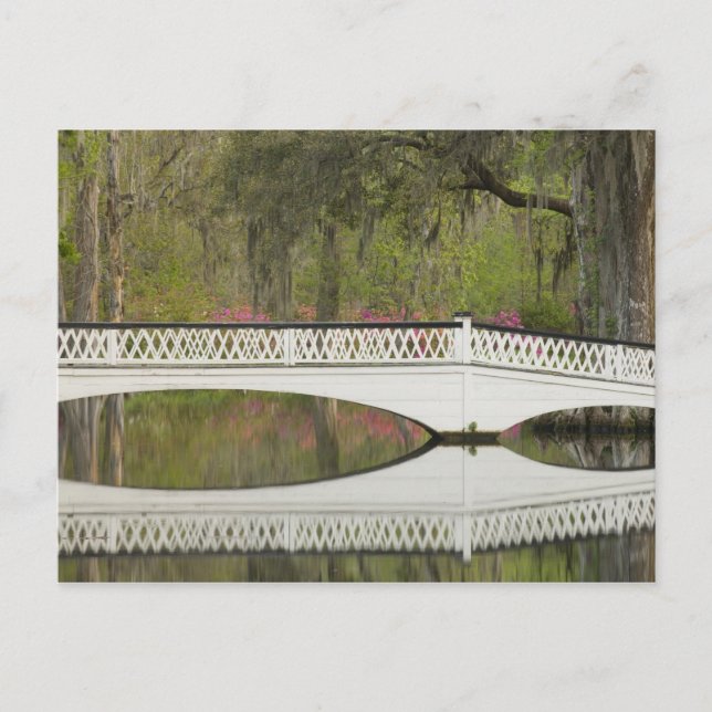 Cartão Postal Estados Unidos; Carolina do Sul; Charleston; 3 (Frente)