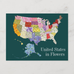 Cartão Postal Estados Unidos em Flores