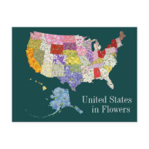 Estados Unidos em Flores