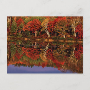 Cartão Postal Estados Unidos, Michigan, Península Superior. Outo