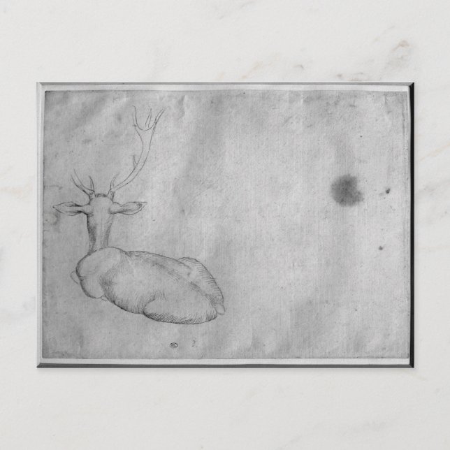 Cartão Postal Estag de repouso (Frente)