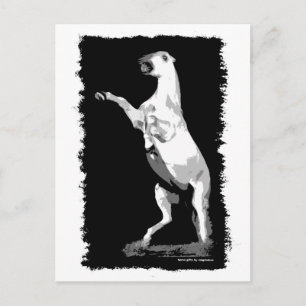 Cartão Postal Estalhão Andaluz