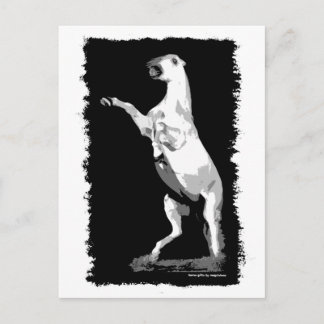 Cartão Postal Estalhão Andaluz