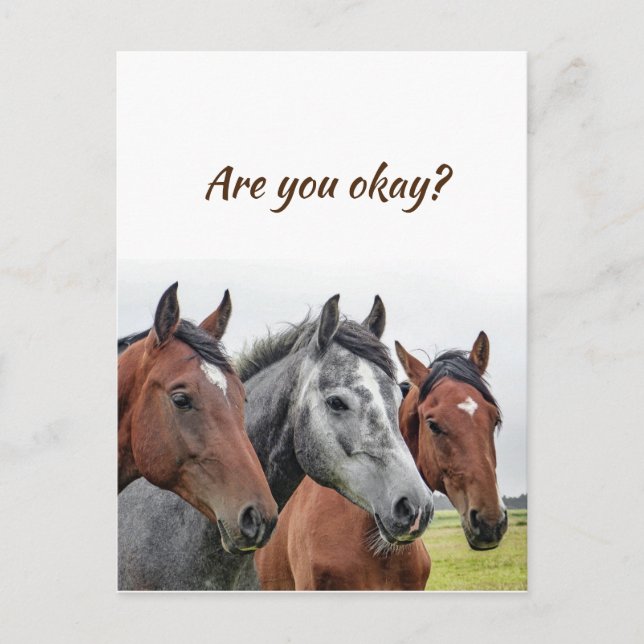Cartão Postal Estamos a pensar em vocês Cavalos para saber que e (Frente)