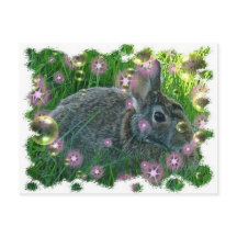 Estamos tendo um coelho da festa