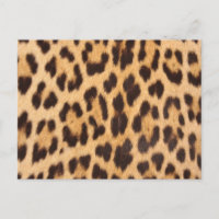 estampa de leopardo selvagem chic feminino moderno