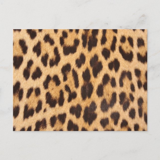 Cartão Postal estampa de leopardo selvagem chic feminino moderno (Frente)