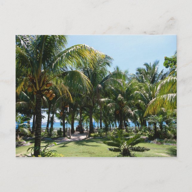 Cartão Postal Estância de praia (Frente)