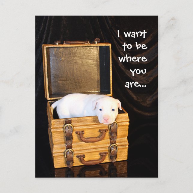 Cartão Postal Estar Com Você... (Frente)