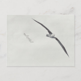 Cartão Postal "estas asas"