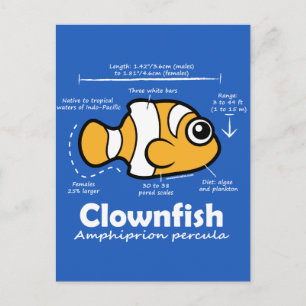 Cartão Postal Estatísticas do Clownfish
