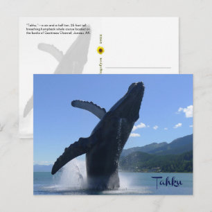 Cartão Postal Estatua de baleia jubarte irrompendo “Tahku”—