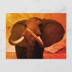 Cartão Postal Estatura Majestática