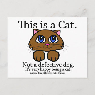 Cartão Postal Este é um Cartão-postal Cat