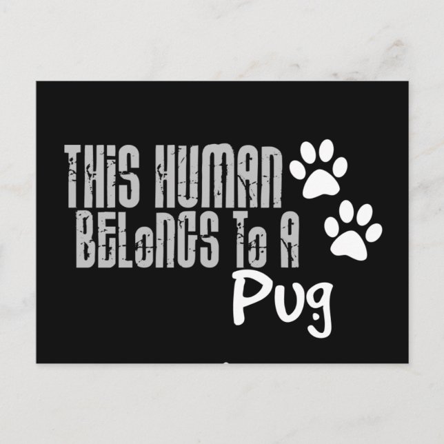Cartão Postal Este Humano Pertence a um Pug (Frente)