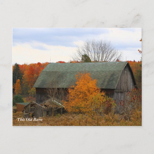 Cartão Postal Este Velho Barn (Frente)