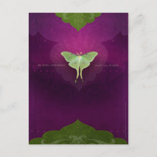 Cartão Postal Esteja Estática (Cartão Postal)