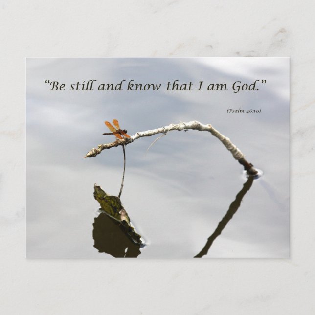 Cartão Postal Esteja quieto (Frente)