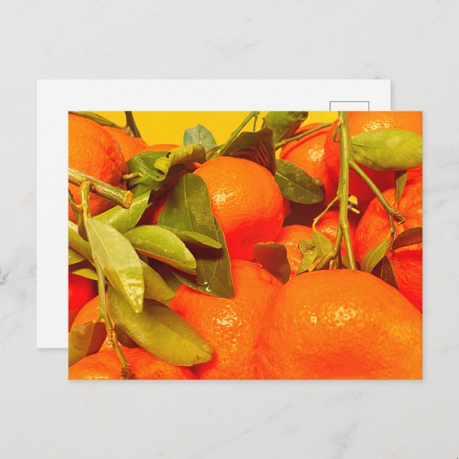 Cartão Postal Estética da Fruta de laranja mole (Frente/Verso)