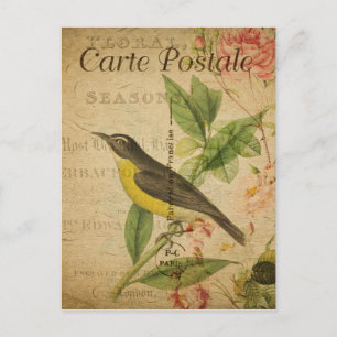 Cartão Postal Estilo de Vintage Carte Francês de Pássaro Amare