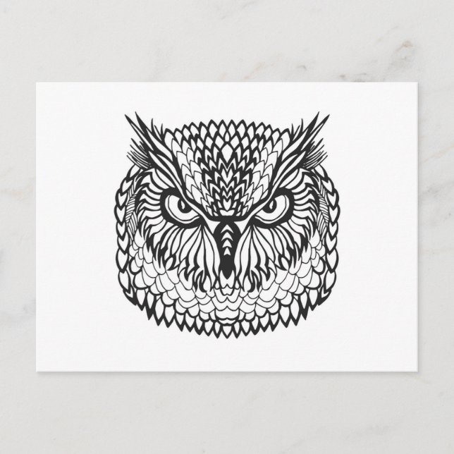 Cartão Postal Estilo Eagle Owl Head (Frente)