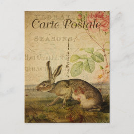 Cartão Postal Estilo Vintage Coelho Carte Francês