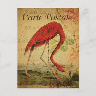 Cartão Postal Estilo Vintage Flamingo Carte Francês Postale
